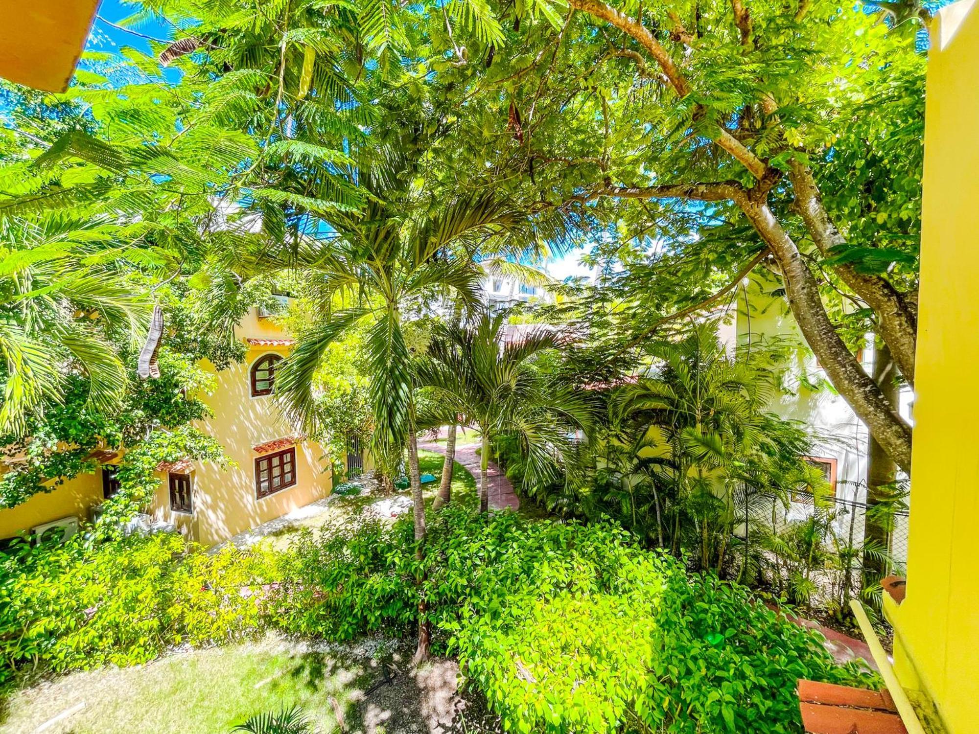Tropical Club And Bavaro With Wifi Parking Bbq 5*