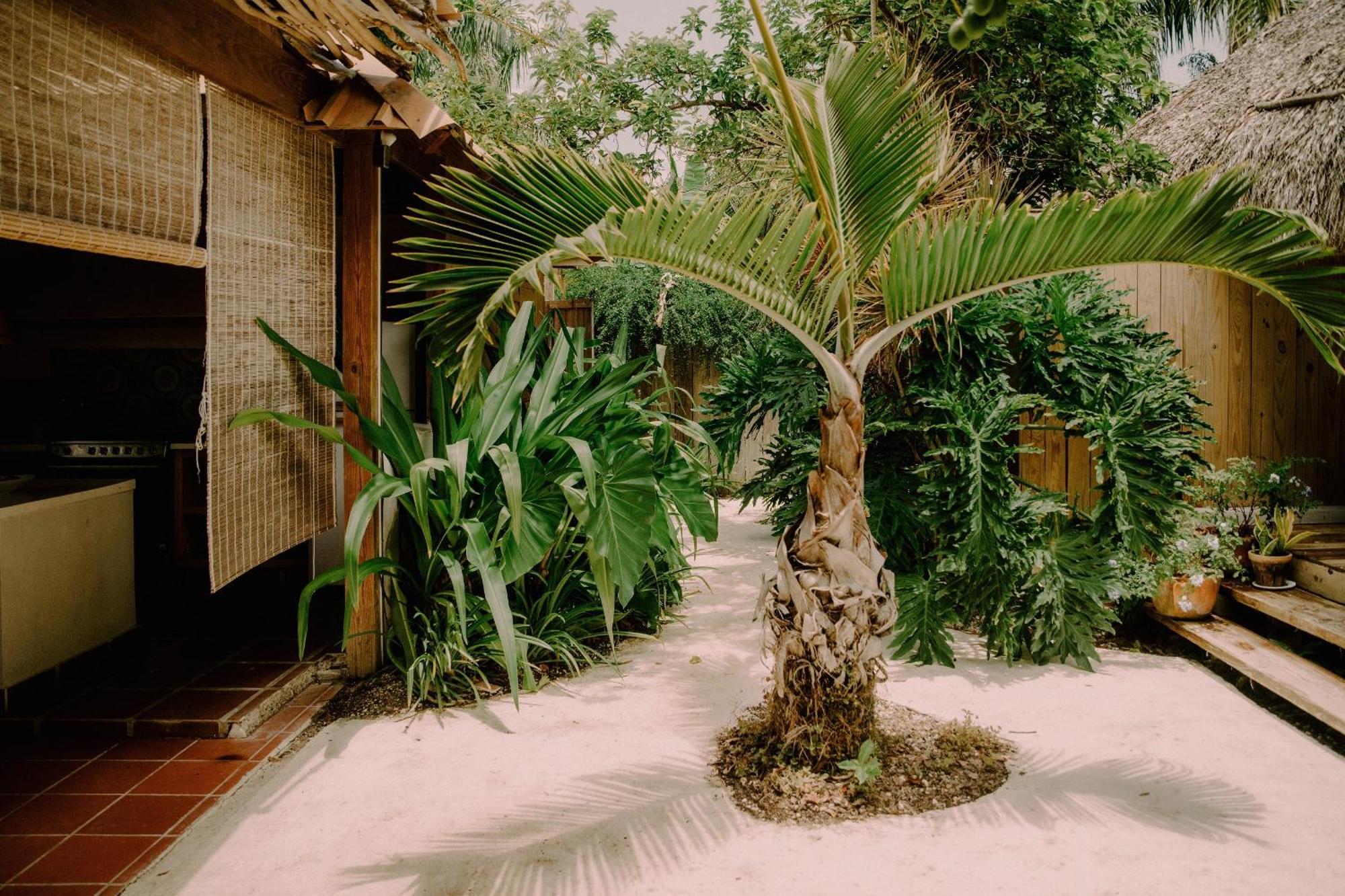 Hotel Buena Vida Macao Punta Cana