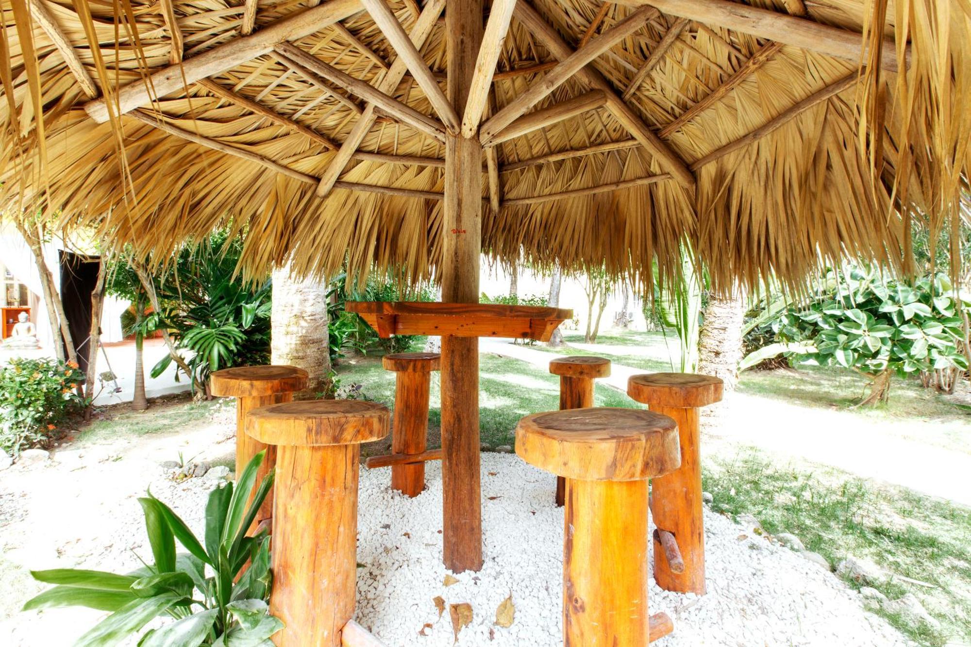 Ducassi Rooftop Pool - Club And 5* Punta Cana