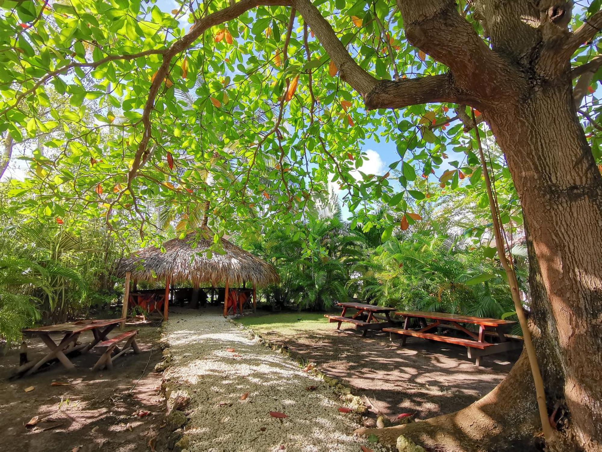 Hotel Caribbean And - Playa Corales Punta Cana