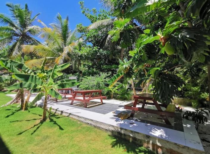 Caribbean Dream With Pool Playa Corales Aparthotel