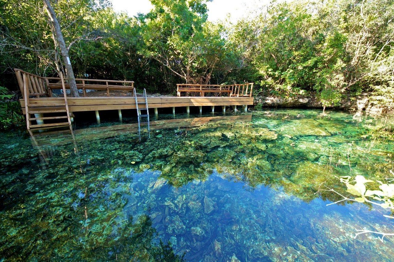 Tortuga Bay, *